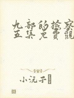 九部的检察官第五集免费观看