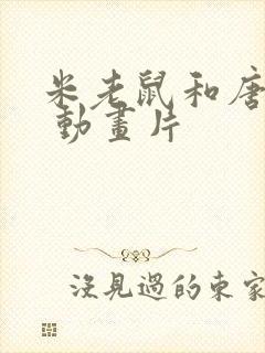 米老鼠和唐老鸭 动画片