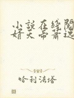 小说在线阅读赘婿天帝萧逸