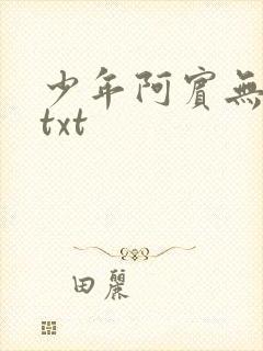 少年阿宾无删减txt