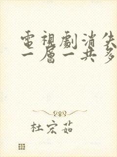 电视剧消失的十一层一共多少集