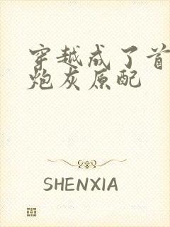 穿越成了首辅的炮灰原配封面