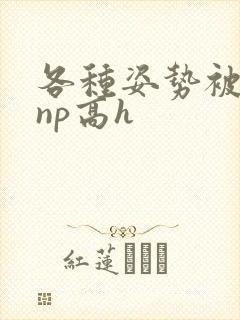 各种姿势被学长np高h