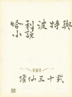 哈利波特与密室小说