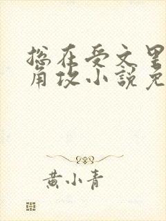 总在受文里抢主角攻小说免费阅读封面