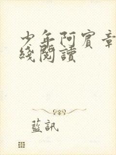 少年阿宾章节在线阅读