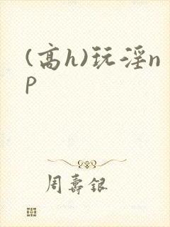 (高h)玩淫np