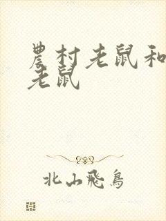 农村老鼠和城里老鼠