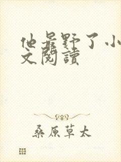 他最野了小说全文阅读