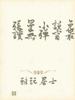 张曼小说免费阅读无弹窗最新章节封面