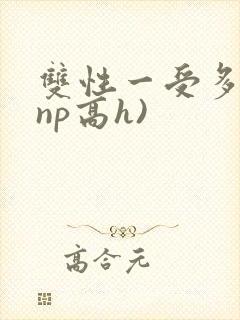 双性一受多攻(np高h)