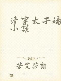 清穿太子娇妃的小说