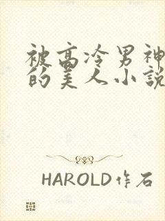 被高冷男神欺负的美人小说txt