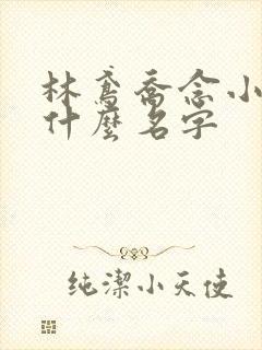 林鸢乔念小说叫什么名字