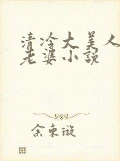 清冷大美人是我老婆小说