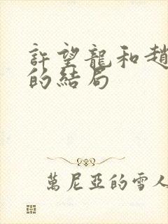 许望龙和赵亚男的结局