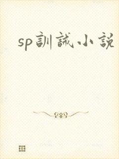 sp训诫小说