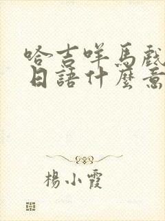 哈吉咩马戏跌,日语什么意思