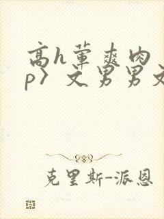 高h荤爽肉〈np〉文男男文