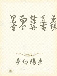 黑白禁区免费观看全集电视剧下载