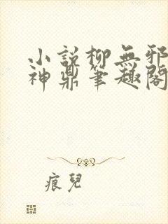 小说柳无邪吞天神鼎笔趣阁