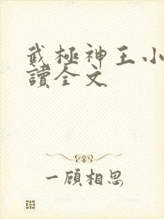 武极神王小说阅读全文