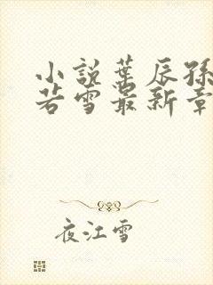 小说叶辰孙怡夏若雪最新章节阅读