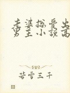 老婆总爱出轨双男主小说高h双男主封面