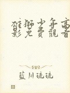 雄狮少年高清电影免费观看