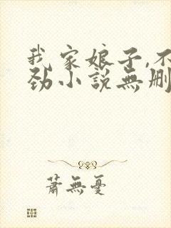 我家娘子,不对劲小说无删减