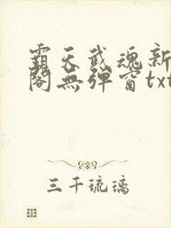 霸天武魂新笔趣阁无弹窗txt