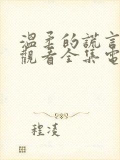 温柔的谎言免费观看全集电视剧封面