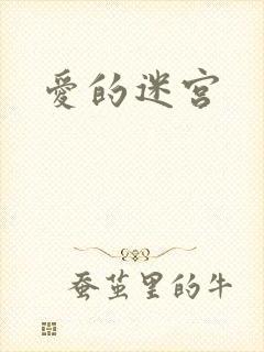 爱的迷宫封面