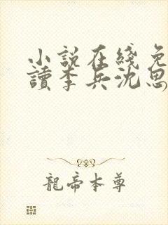 小说在线免费阅读李兵沈思