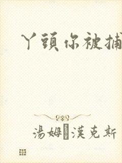 丫头你被捕了封面