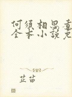 何须相思煮余年全本小说免费阅读