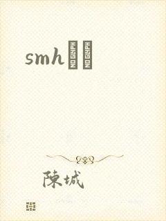 smhС˵封面