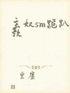 主奴sm跪趴调教