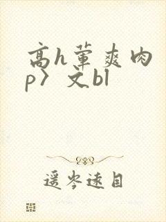 高h荤爽肉〈np〉文bl