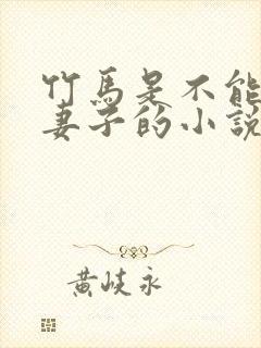 竹马是不能变成妻子的小说笔趣阁