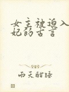 女主被迫入宫为妃的古言封面