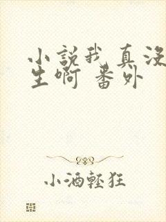 小说我真没想重生啊 番外