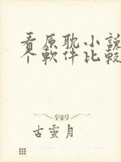 看原耽小说用哪个软件比较好