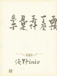 梦见丢了两双鞋子是什么预兆