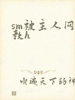 sm被主人网调教h