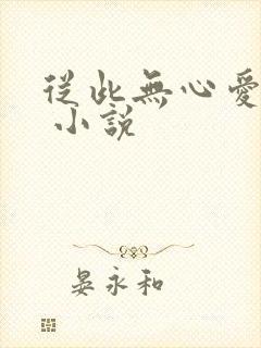 从此无心爱良夜 小说