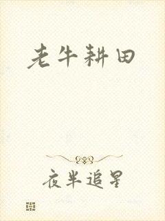 老牛耕田