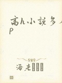 高h小说多人np