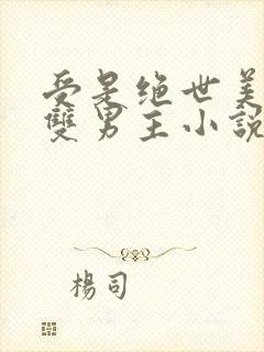 受是绝世美人的双男主小说封面