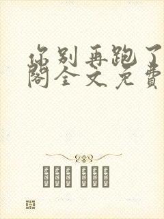 你别再跑了笔趣阁全文免费阅读无弹窗封面